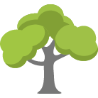 Broomfield Tree Removal